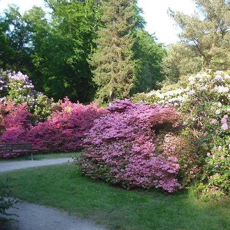 Ferienobjekt Mueritz A10 *