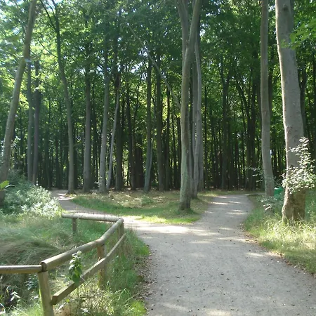 Ferienobjekt Mueritz A10 *