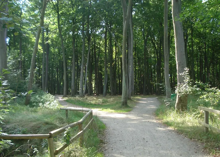 Ferienobjekt Mueritz A10 *